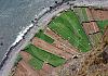 Between Camara do Lobos and Riviera Brava - Madeira 05+ - 010 von Heinz Hehenberger