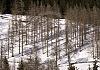 Blick auf dachstein sued - ramsau - stmk. 12  - 022 von Heinz Hehenberger