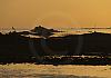 Blick v. roscoff auf ile de batz - frankreich 13  - 007 1 von Heinz Hehenberger