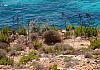 Blue-Lagoon---Comino---Malta-09+---022 von Heinz Hehenberger