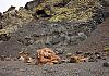 Caldera de los Cuervos - Lanzarote 04 Nov. 16+ - 041 von Heinz Hehenberger