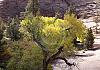 Carmel highway - utah 10  - 030 von Heinz Hehenberger