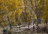 Carmel highway - utah 10  - 050 von Heinz Hehenberger