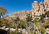 Chiricahua Ntl. Mon.  AZ  11 April 19+  011 von Heinz Hehenberger