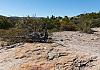 Chiricahua Ntl. Mon.  AZ  11 April 19+  043 von Heinz Hehenberger