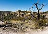 Chiricahua Ntl. Mon.  AZ  11 April 19+  051 von Heinz Hehenberger