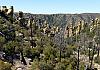 Chiricahua Ntl. Mon.  AZ  11 April 19+  056 von Heinz Hehenberger