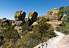 Chiricahua Ntl. Mon.  AZ  11 April 19+  078 von Heinz Hehenberger