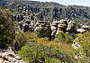 Chiricahua Ntl. Mon.  AZ  11 April 19+  095 von Heinz Hehenberger