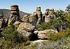 Chiricahua Ntl. Mon.  AZ  11 April 19+  096 von Heinz Hehenberger