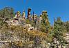Chiricahua Ntl. Mon.  AZ  11 April 19+  150 von Heinz Hehenberger