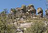 Chiricahua Ntl. Mon.  AZ  11 April 19+  213 von Heinz Hehenberger