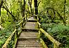 Doi inthanon ntl. park near chiang mai - thailand 15  - 028 1 von Heinz Hehenberger