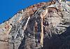 East rim trail - zion ntl. park - utah 10  - 026 von Heinz Hehenberger
