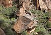 Emerald pools trail - zion ntl. park - utah 10  - 082 von Heinz Hehenberger