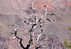 Grand canyon - arizona 10  050 von Heinz Hehenberger