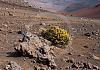 Haleakala-Crater---Maui---Hawaii-10+---127 von Heinz Hehenberger