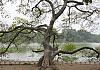 Hoan kiem lake - hanoi - vietnam 12  - 013 von Heinz Hehenberger