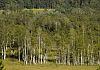 Hochmoor chalupska im nationalpark sumava-haidmuehle - cz -  12  - 028 von Heinz Hehenberger