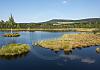 Hochmoor chalupska im nationalpark sumava - cz -  12  - 010 von Heinz Hehenberger