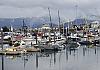 Homer---Alaska-04+---086 1 von Heinz Hehenberger