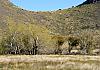 Hwy 186  Wilcox to Chiricahua Ntl. Mon.  AZ  11 April 19+  022 von Heinz Hehenberger
