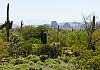 I-10 Phoenix-Tucson  AZ  10. April 19+  029 von Heinz Hehenberger