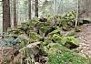 Im kriener wald b. furtmuehle 14  - 001 von Heinz Hehenberger