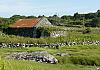 Ireland - Near Clifden  18 June 17+ - 111 von Heinz Hehenberger