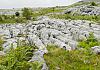 Ireland - The Burren 14 June 17+ - 007 von Heinz Hehenberger