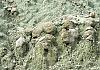 John day sheep rock unit - oregon 15  - 026 von Heinz Hehenberger