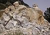 Karsiyaka-st. hilarion - n-cyprus 12  - 052 1 von Heinz Hehenberger