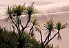 Ninety-Mile-Beach NI - New Zealand 06+ - 022 von Heinz Hehenberger