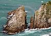 Nuggets Point SI - New Zealand 06+ - 067 von Heinz Hehenberger