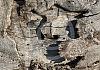 Oben am Castell d'Alaro  - Mallorca 2013 - 015 von Heinz Hehenberger