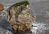 Pancake rocks si - new zealand 06  - 046 1 von Heinz Hehenberger