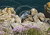 Pointe de la jument - bretagne 13  - 076 von Heinz Hehenberger