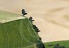 Pupping-Bad Schallerbach - Upper Austria - 12+ - 013 von Heinz Hehenberger