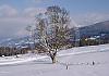 Ramsau a. dachstein - styria 09  - 030 1 von Heinz Hehenberger