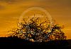 Sonnenaufgang ueber haslach a. d. muehl 13  - 005 von Heinz Hehenberger