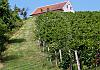 Suedsteirische weinstrasse - styria 06  - 023 von Heinz Hehenberger