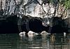 Tam Coc - Ninh Binh - Vietnam 12+ - 065 1 von Heinz Hehenberger