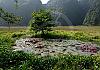 Tam Coc - Ninh Binh - Vietnam 12+ - 213 1 von Heinz Hehenberger