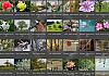 Thumbnails-Kunterbunt-Set-1+---004 von Heinz Hehenberger