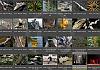 Thumbnails-Kunterbunt-Set-1+---006 von Heinz Hehenberger