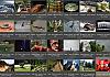 Thumbnails-Kunterbunt-Set-1+---015 von Heinz Hehenberger