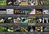 Thumbnails-Kunterbunt-Set-1+---021 von Heinz Hehenberger