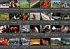 Thumbnails-Kunterbunt-Set-1+---022 von Heinz Hehenberger