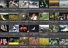 Thumbnails-Kunterbunt-Set-1+---027 von Heinz Hehenberger