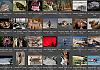 Thumbnails-Kunterbunt-Set-1+---028 von Heinz Hehenberger